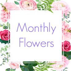3 Months