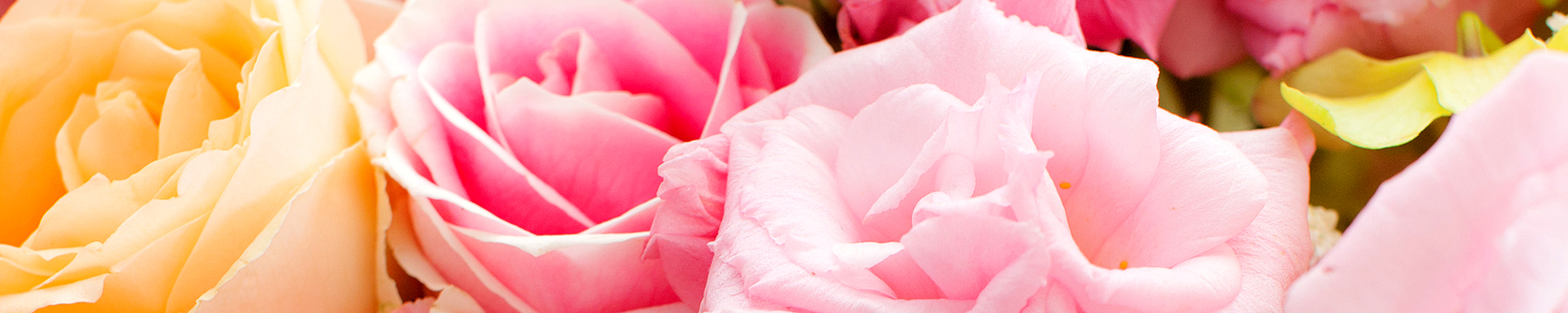 Flowers By Julie